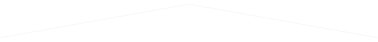 Zimmerei Asojan - Zimmerermeister - Hügelwelle