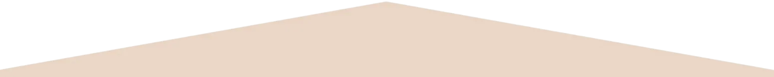 Zimmerei Asojan - Zimmerermeister - Hügelwelle