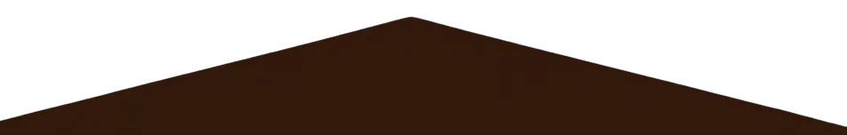 Zimmerei Asojan - Zimmerermeister - Hügelwelle